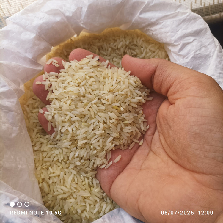 برنج عنبربو نورآباد 10کیلوگرم